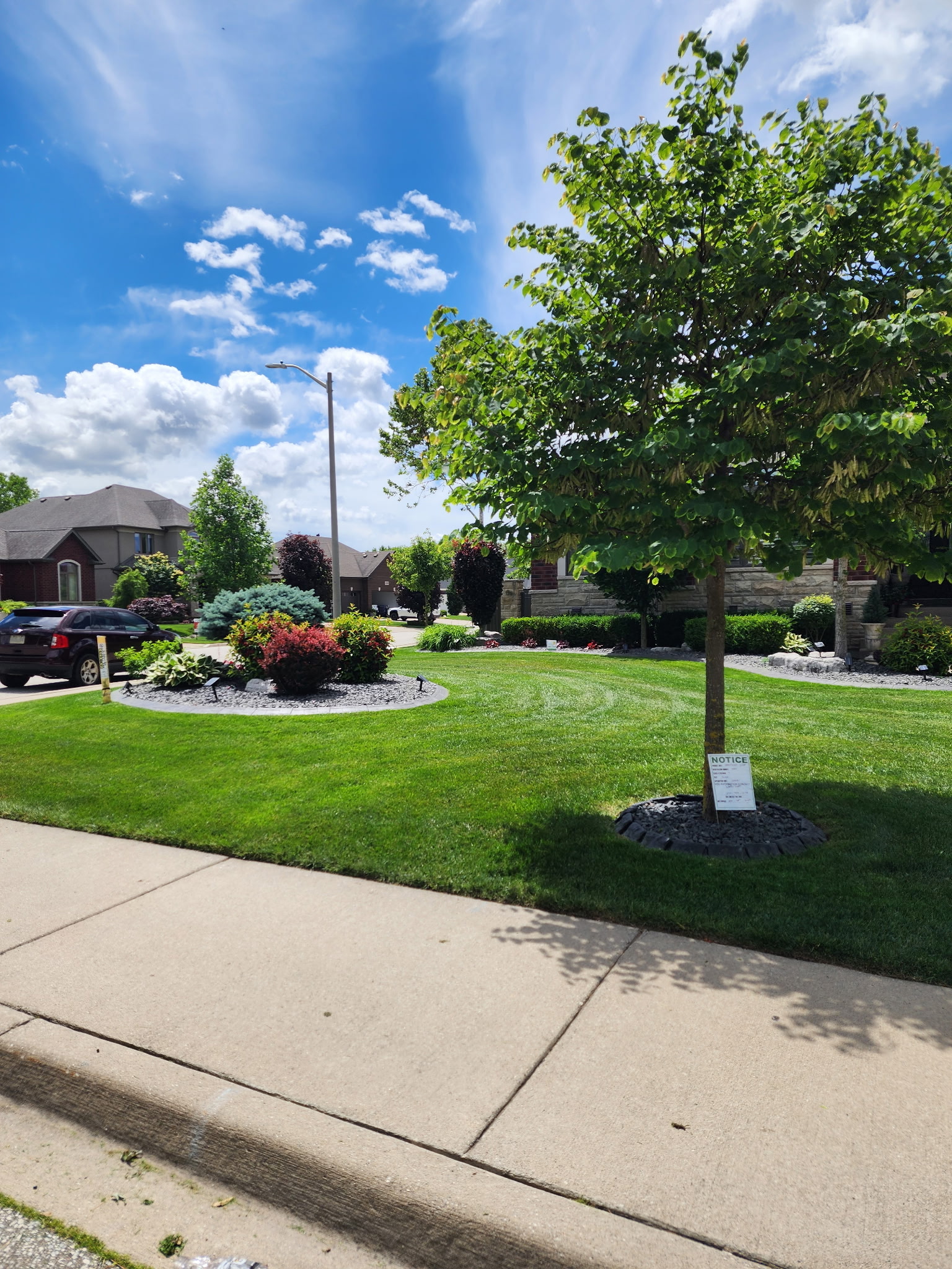 Lawn Care